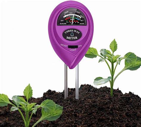 zz plant moisture meter number|when to water zz plant.